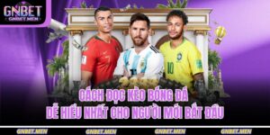 Cách Đọc Kèo Bóng Đá Dễ Hiểu Nhất Cho Người Mới Bắt Đầu 5 cách đọc kèo bóng đá